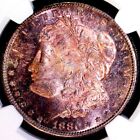 1880 S  Morgan Silver Dollar  NGC MS64  ☆Amazing Toning!!☆