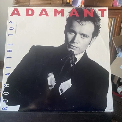 🏳️‍🌈 Adam Ant - Room At The Top (1989, Vinyl Single) *Extended Version* Foto 1 de 4