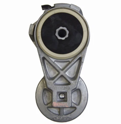 Tensor de cinturón serpentino Topkick/Kodiak C6500-C8500 2004-2009 LG5 nuevo 15170283 Foto 1 de 4