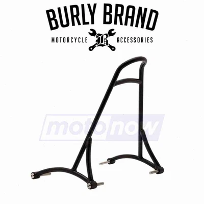 Burly Brand Sissy Bar for 2009-2020 Harley Davidson XL883N Iron 883 - Seats zo — 第 1/4 张图片