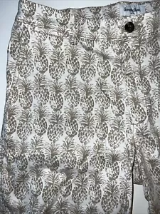 Ananas Print Herren Shorts Größe 32 Chino hellbraun und weiß Goodfellow Linden Short - Bild 1 von 13