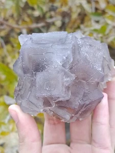 414g Natural Cubic Fluorite Mineral Specimen Crystal On Matrix With Purple Hues - Picture 1 of 6