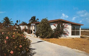 Greyhound Key Florida~Post House~Amboy Jack~1956 Postcard - Picture 1 of 2