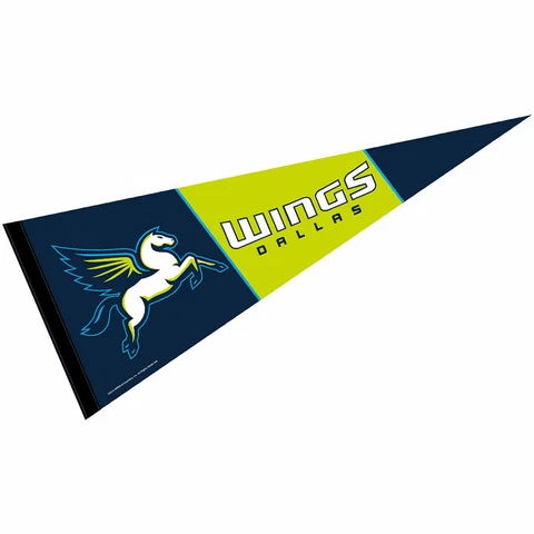 Dallas Wings Pennant Banner Cover