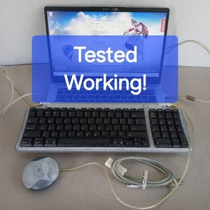 Vintage Apple USB Keyboard (M2452) & Mouse (M4848) - iMac Lt Black - TESTED - Picture 1 of 9