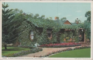 A Rose Embowered Bungalow, California c1920s Postcard UNP 6919b MR ALE - Picture 1 of 8