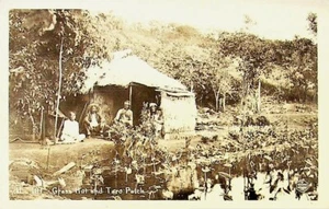 Grashütte & Taro Aufnäher HAWAII Vintage RPPC Foto Postkarte ~1940er - Bild 1 von 2