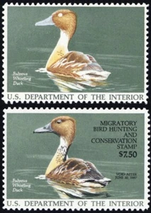 RW53a, VF NH Black Color Omitted MAJOR ERROR With PF & APS Certs * Stuart Katz - Picture 1 of 3