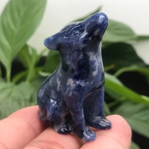 "Estatuillas de cuarzo tallado cristal calavera de lobo de sodalita natural de 1,8" - Imagen 1 de 12