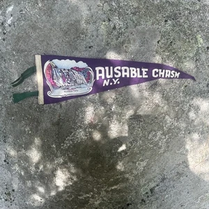 Vintage Ausable Chasm New York Rainbow Falls Souvenir Felt Pennant 17” - Picture 1 of 9