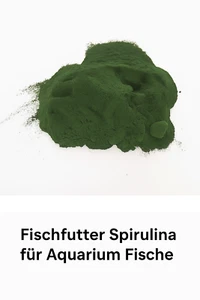Spirulina Algenpulver Triops Futter Urzeitkrebse Jungtiere 100% rein Berlin NRW - Bild 1 von 2