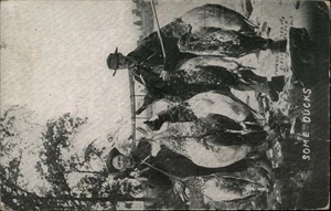 Sheboygan, WI Cancel, Some Ducks Exaggeration, to Waldo Wisconsin 1911 Hunting - Bild 1 von 2
