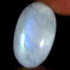 17.30 Cts Natural Rainbow Moonstone Bracelet Making Oval Cabochon 12X20X8MM