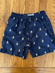 Free Planet Men’s Swim Trunks - Small (Great Shape) - Picture 1 of 10