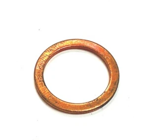 Junta Cobre Plana 1186620 22X17X1.5MM FAEMA / GAGGIA - Imagen 1 de 1