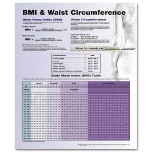 BMI & Waist Anatomical Circumference Chart - Picture 1 of 2