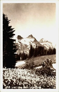 RPPC Wild Flowers, Tatoosh Bridge, Oregon postal con foto real 548, EKC - Imagen 1 de 2