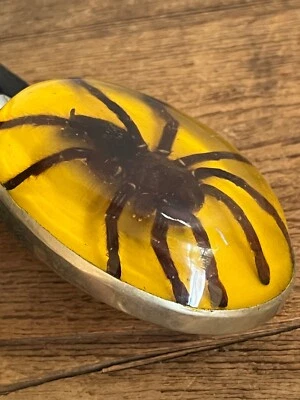 Women Men Real TARANTULA Belt Buckle Western Cowboy Hecho en MEXICO VINTAGE rare - Image 1 of 4