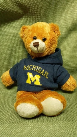 Michigan Wolverines Plushland 2011 Teddy Bear Ncaa Plush Sport Fan Cover