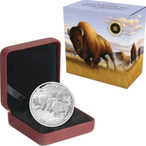 $100 2013 BISON STAMPEDE 1OZ Pure Silver Coin Canada - Master of Prairie Wind - Picture 1 of 3