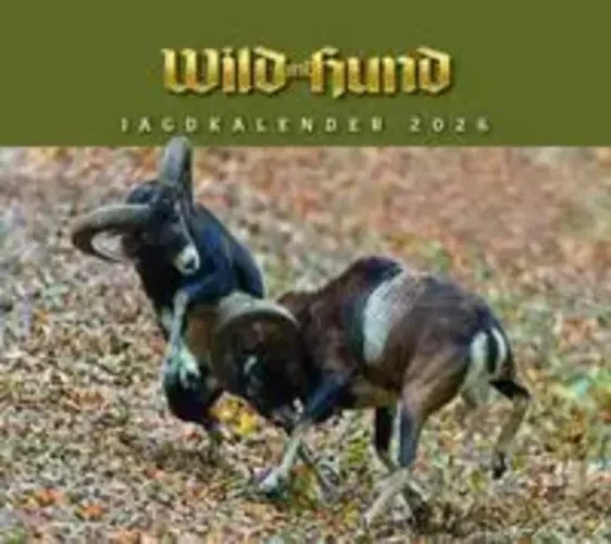 PAREY ZEITSCHRIFTEN VERLA Jagdkalender Wandvariante 2026 | Wild und Hund - Wandkalender | HUND | Deutsch