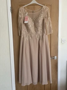 New With Tags Jj’s House Champagne Chiffon Dress Uk 16 - Picture 1 of 8