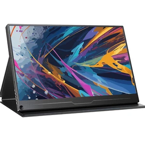 17.3" Portable Monitor 1920 * 1080 FHD IPS LCD Display HDMI USB C For Laptop PC - Picture 1 of 10