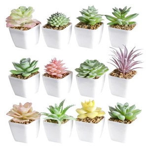 Artificial Faux Succulents in Pots Fake Plants Plastic Arrangement Planter Sm... - Picture 1 of 9