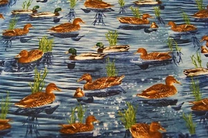Patchworkstoff   Timeless Treasures of SoHo    PATT Nature C6406 50x110cm Enten - Bild 1 von 1