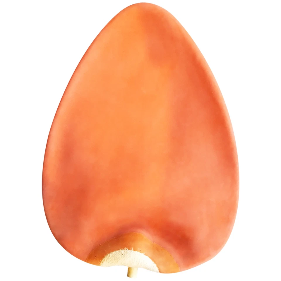 Vejiga bolsa de velocidad de látex ringside Foto 1 de 1