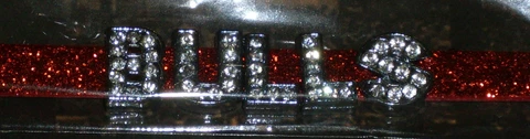 NIP NBA GLITTER FASHION TEAM BRACELET- CHICAGO BULLS Cover