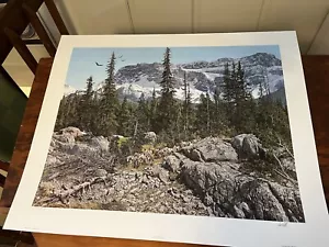 Paul Calle Where Eagles Fly . Signed Wildlife Print 286 / 1250 Excellent - Picture 1 of 16