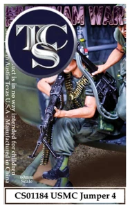 THE COLLECTORS SHOWCASE HUEY HELICOPTER JUMPER CS01184 VIETNAM WAR - Bild 1 von 2