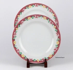 Pfaltzgraff, COCINA DE LA ABUELA, Juego de 2 Platos de Cena, ¡EXCELENTE Estado! - Imagen 1 de 3