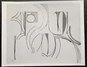1975 JUDITH ROTHSCHILD 8X10 B/W GLOSSY PHOTO RELIEF COLLAGE #5 - Picture 1 of 2