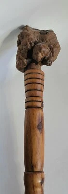 Bastón o bastón de madera de lujo vintage con tapa de burl 38,5" con punta de paraguas de latón Foto 1 de 4