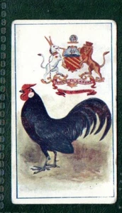Cigarette card 1916 Robinson Regiment mascot Catalog £80.oo Chicken Poultry #318 - Picture 1 of 2
