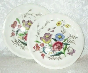 Set of 2 ~ Vintage SPODE Gainsborough 6.75" Bread & Butter Plates - Picture 1 of 8
