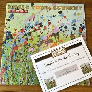 SMALL TOWN SCENERY - LOST INDIE GEMS - VINYL LP - RECORD COLLECTOR - MINT RCLP18 - Picture 1 of 4