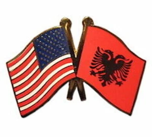 🇦🇱/ 🇺🇸 Albania Friendship with USA Flag Lapel Badge Pin - Picture 1 of 1