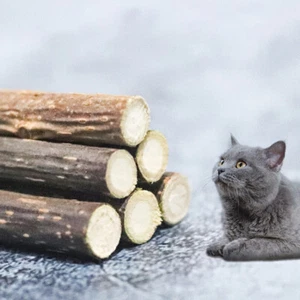 20Pcs Catnip Sticks Natural Plant Cat Teeth Cleaning Chew Toys Cat Molar Toys - Picture 1 of 18