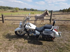 Honda VT 750 Shadow Unikat - Bild 1 von 6
