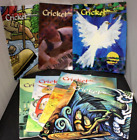 7 Cricket The Realm Of Imagination Magazine For Kids