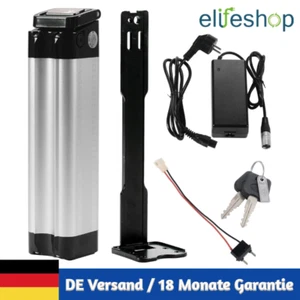 24V 10,4Ah / 15,6Ah E-Bike Batterie Li-ion Akku Zhenlong/ZL07010-F Phylion - Bild 1 von 10