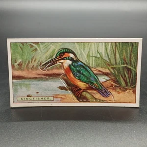1920s Ogden's Birds Press-Outs KINGFISHER Antique Tobacco Cigarette Card - Picture 1 of 2