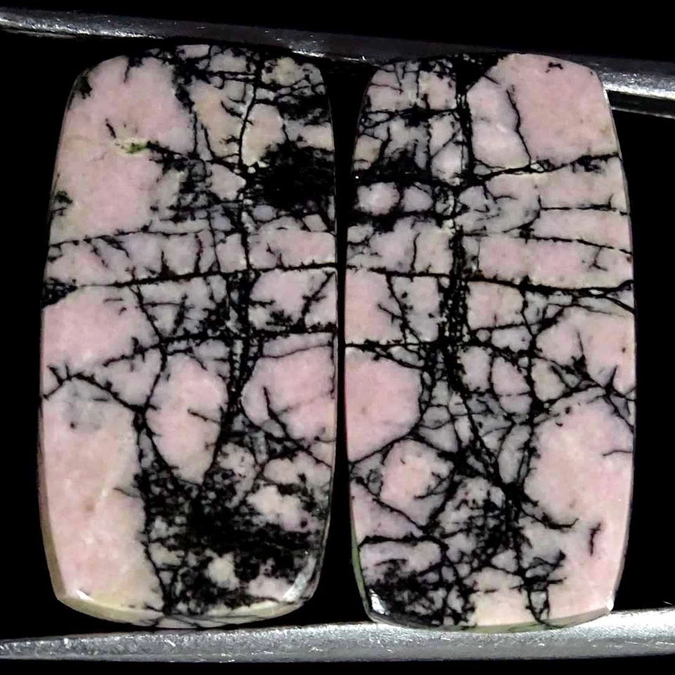 22.30Cts Natural Rhodonite Cushion Pair Cabochon Loose Gemstone 10x20x4mm - Image 1 of 4