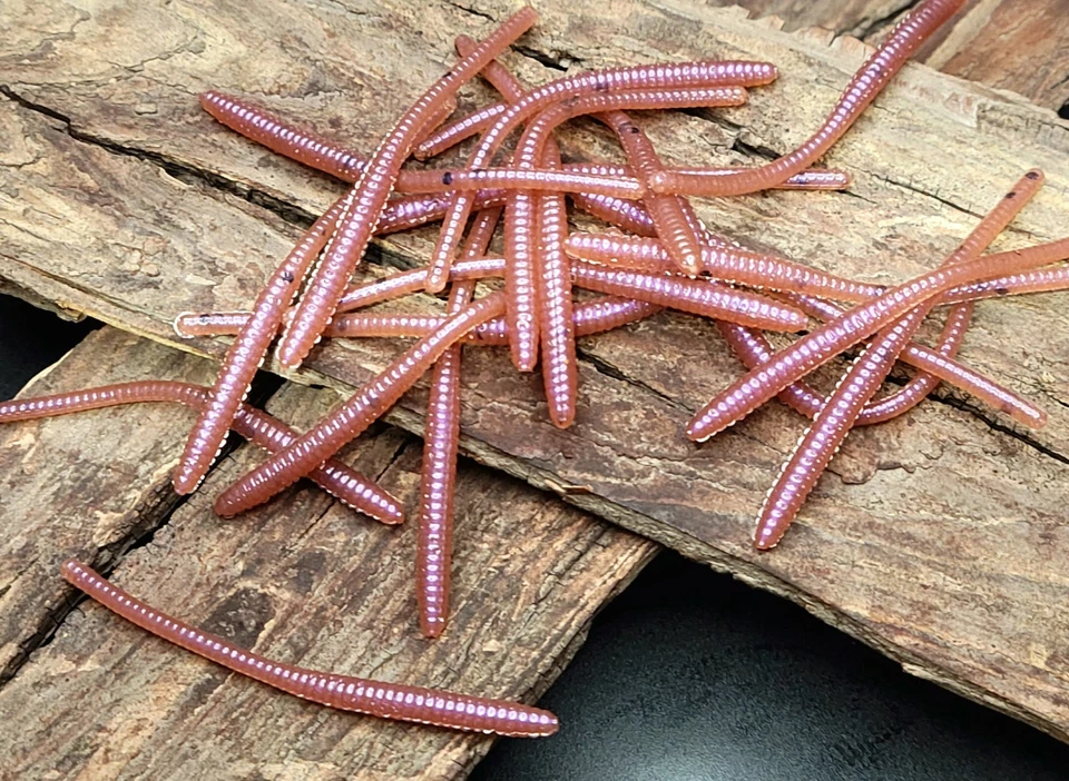 天然摇篮 (20) TROUT WORM BASS CRAPPIE — 第 1/1 张图片