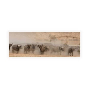 Stampa su Tela su Carta Poster o Quadro Bennion Scott Spooked Buffalo - Picture 1 of 2
