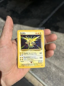 Zapdos - Picture 1 of 2