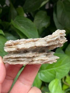 78g Natural GoBi stone wind-carved stone Bonsai stone collection china - Bild 1 von 12